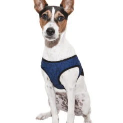 Aqua Coolkeeper Coolkeeper Hondentuig Blauw -PetPlezier Verkoopwinkel aqua coolkeeper coolkeeper hondentuig blauw 2