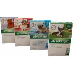 Bayer Advantage Voor Honden 4 Pipetten 8 Bayer Advantage Voor Honden 4 Pipetten -PetPlezier Verkoopwinkel bayer advantage voor honden 4 pipetten 1