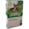 Bayer Advantage Voor Honden 4 Pipetten -PetPlezier Verkoopwinkel bayer advantage voor honden 4 pipetten