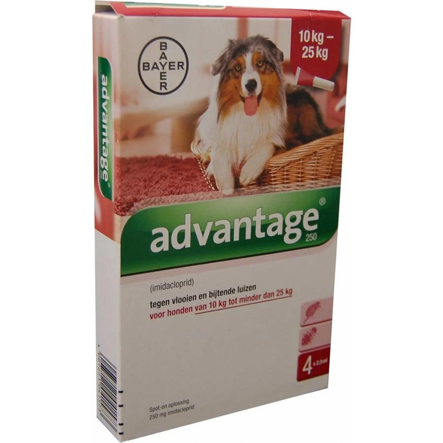 Bayer Advantage Voor Honden 4 Pipetten 6 Bayer Advantage Voor Honden 4 Pipetten - Afbeelding 4