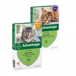 Bayer Advantage Voor Katten 4 Pipetten