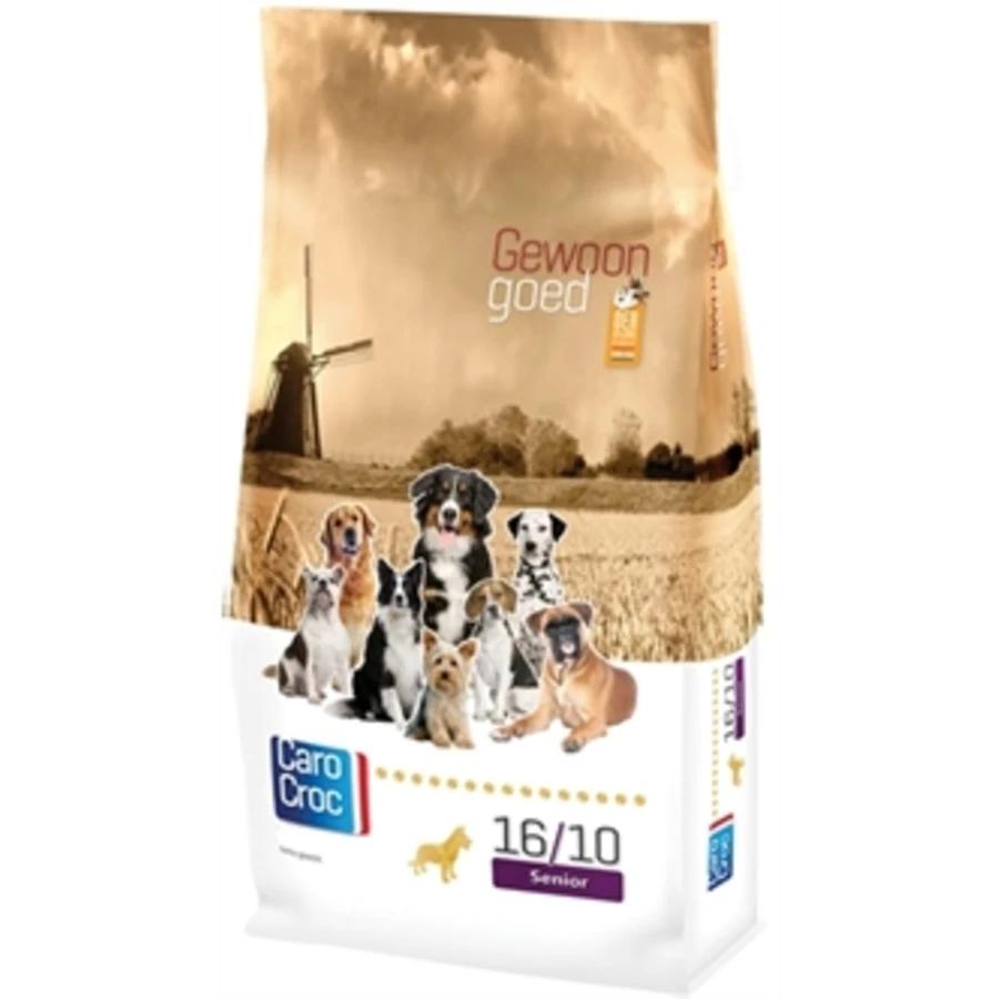 CaroCroc Senior Gold 16/10 3 CaroCroc Senior Gold 16/10