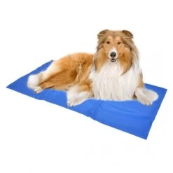 Duvo+ Koelmat Blauw -PetPlezier Verkoopwinkel duvo koelmat blauw 3