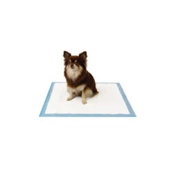 EasyPets Training Pads 8 EasyPets Training Pads -PetPlezier Verkoopwinkel easypets training pads 2