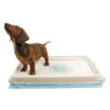 EasyPets Training Pads Houder -PetPlezier Verkoopwinkel easypets training pads houder