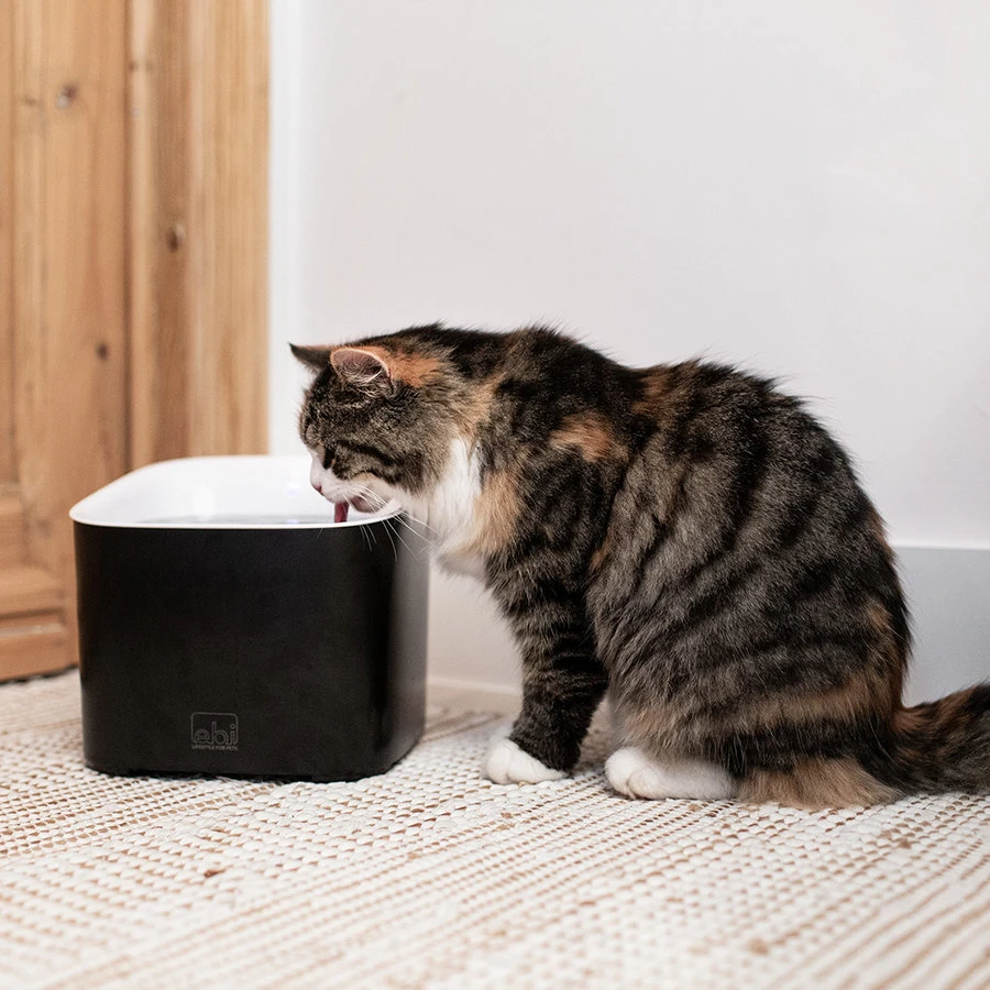 Ebi Manoa Drinkfontein | 3 Liter Inhoud 6 Ebi Manoa Drinkfontein | 3 Liter Inhoud - Afbeelding 4