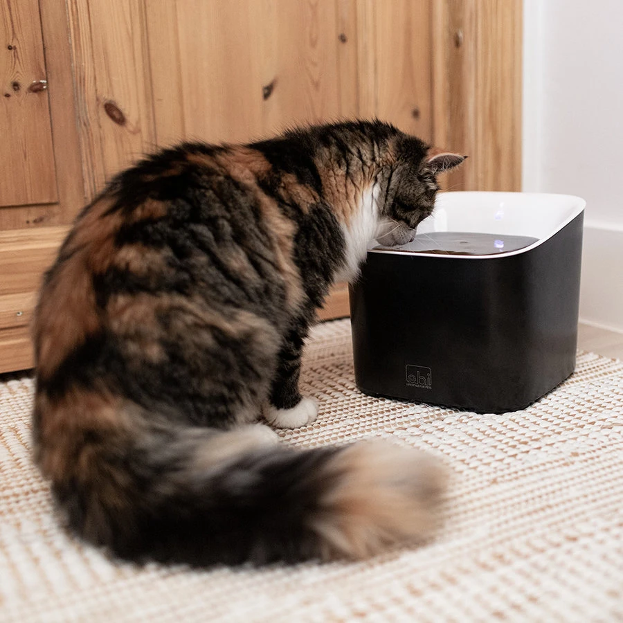 Ebi Manoa Drinkfontein | 3 Liter Inhoud 7 Ebi Manoa Drinkfontein | 3 Liter Inhoud - Afbeelding 5