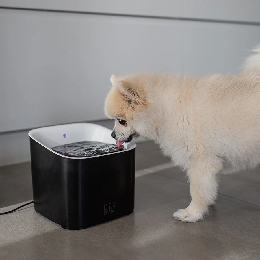 Ebi Manoa Drinkfontein | 3 Liter Inhoud 8 Ebi Manoa Drinkfontein | 3 Liter Inhoud - Afbeelding 6