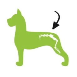 Excellent Dog Flex 7 Excellent Dog Flex -PetPlezier Verkoopwinkel excellent dog flex 2