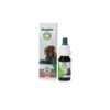 Excellent HempOne Hond En Kat Olie 1 Excellent HempOne Hond En Kat Olie -PetPlezier Verkoopwinkel excellent hempone hond en kat olie