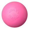 Jolly Pets Ball Bounce-n Play Roze -PetPlezier Verkoopwinkel jolly pets ball bounce n play roze