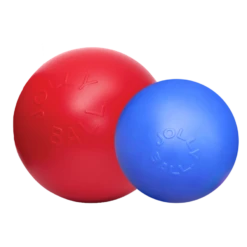 Jolly Pets Ball Push-n-Play