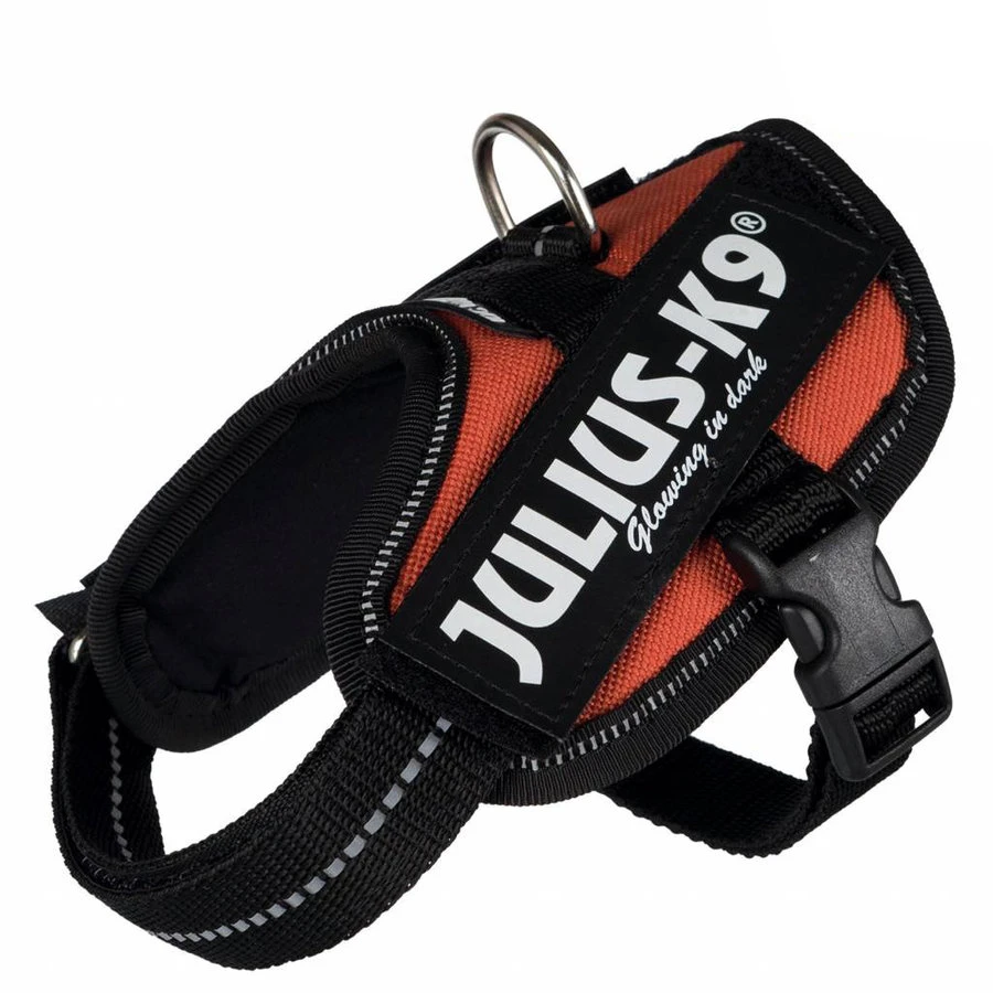 Julius K9 Julius-K9 IDC Powerharness 1 (63-85cm) 4 Julius K9 Julius-K9 IDC Powerharness 1 (63-85cm) - Afbeelding 2