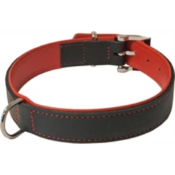 Junai.nl Hondenhalsband Soft Gevoerd Zwart / Rood