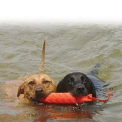 Kong Training Dummy -PetPlezier Verkoopwinkel kong training dummy 2