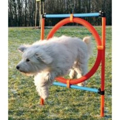 Pawise Trainingshoepel -PetPlezier Verkoopwinkel pawise trainingshoepel 1