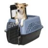 Petmate Transportmand Met Dubbele Deur -PetPlezier Verkoopwinkel petmate transportmand met dubbele deur