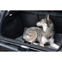 Royal Dry Honden- Deurmat -PetPlezier Verkoopwinkel royal dry honden deurmat 2