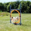 Trixie Fun Agility Ring -PetPlezier Verkoopwinkel trixie fun agility ring