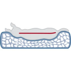 Trixie Vitaal Kussen Bendson 11 Trixie Vitaal Kussen Bendson -PetPlezier Verkoopwinkel trixie vitaal kussen bendson 4