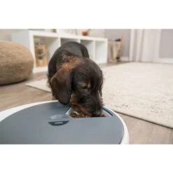 Trixie Voederautomaat TX4+1 | Voor Honden En Katten -PetPlezier Verkoopwinkel trixie voederautomaat tx41 voor honden en katten 3