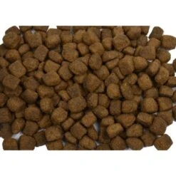 Wielink Lam & Rijst Blanco Hondenbrokken 10 Kg