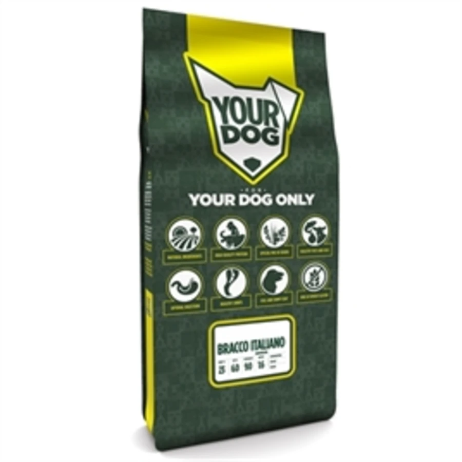 Yourdog Bracco Italiano Volwassen 3 Yourdog Bracco Italiano Volwassen