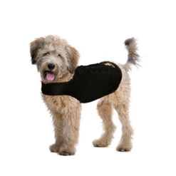Zenpet Compression Shirt -PetPlezier Verkoopwinkel zenpet compression shirt 1