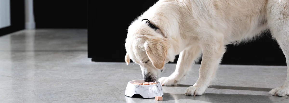 Voorkant -PetPlezier Verkoopwinkel 1.4